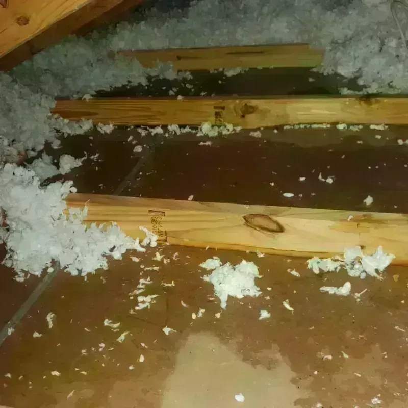 Attic Water Damage in Lake Heritage, PA