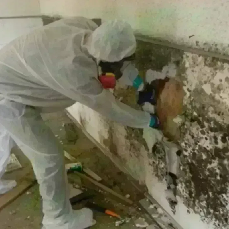 Mold Remediation and Removal in Lake Heritage, PA